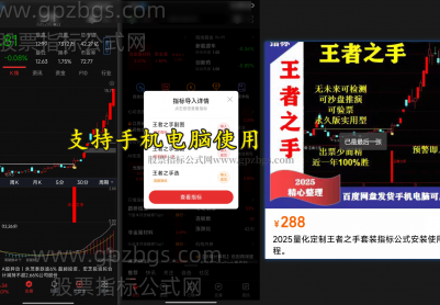 精选【王者之手】量化掘金指标高胜率套装（支持手机电...