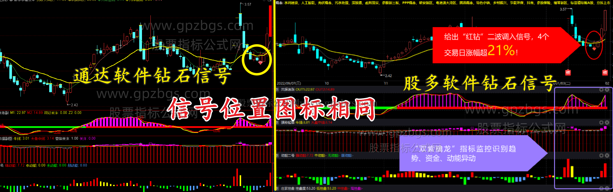 龙头二波.png